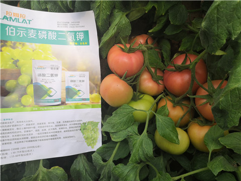 葉面肥，磷酸二氫鉀，鈣肥
