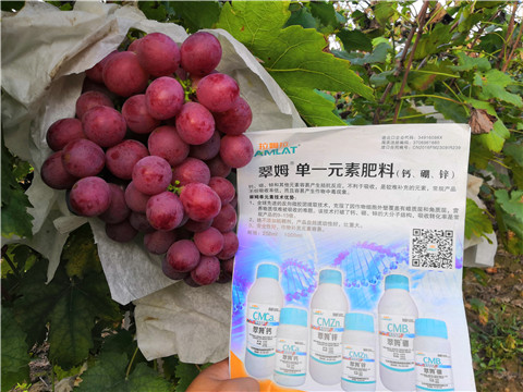 水溶肥，鈣肥，硼肥