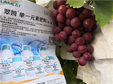 水溶肥，鈣肥，硼肥