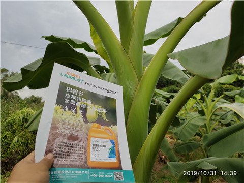 葉面肥，微生物菌劑，硼肥，水溶肥