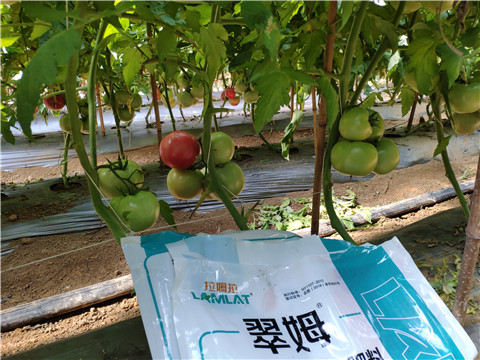 水溶肥，