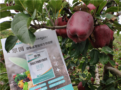 微生物菌劑，