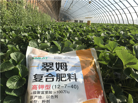 水溶，拉姆拉，翠姆