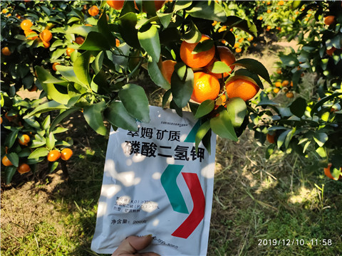 水溶肥，磷酸二氫鉀