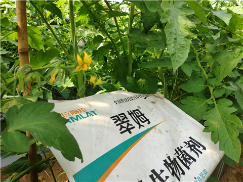 微生物菌劑，