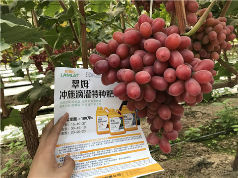 沖施肥，拉姆拉