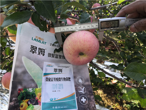 水溶肥，磷酸二氫鉀，微生物菌劑