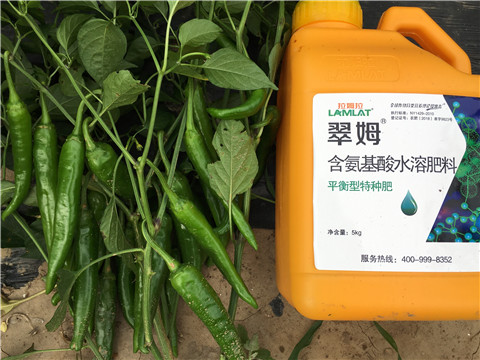 根碧多，微生物菌，葉面肥