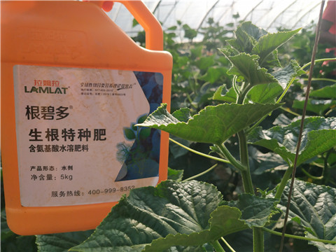 拉姆拉，根碧多，微生物菌劑