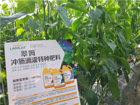 水溶肥，硼肥