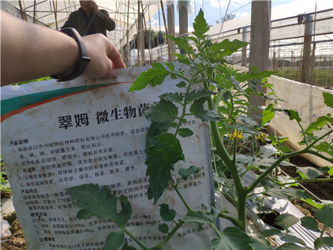 微生物菌劑 ，拉姆拉翠姆