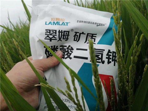 農資經(jīng)銷商，拉姆拉，磷酸二氫鉀