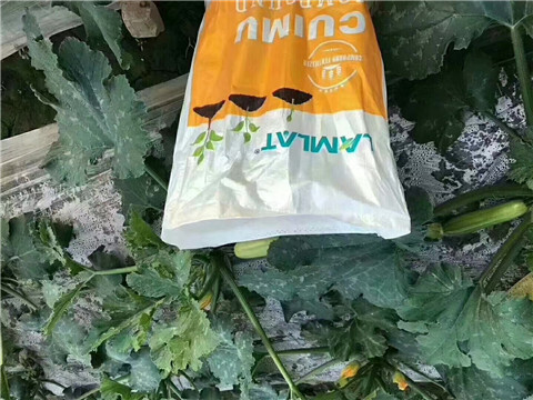 水溶肥，拉姆拉