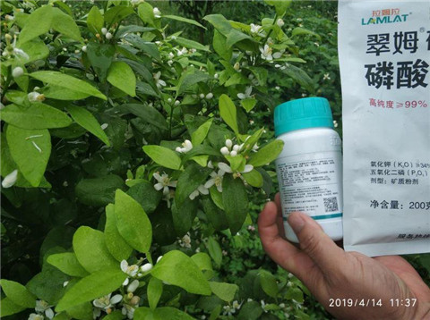 水溶肥，根碧多