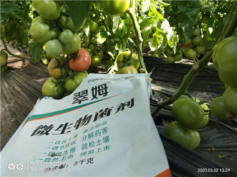 微生物菌劑，根碧多，磷酸二氫鉀