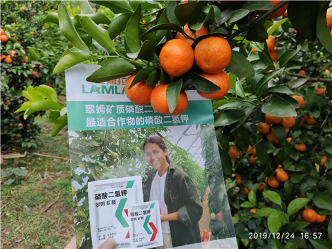 磷酸二氫鉀，鈣肥，硼肥