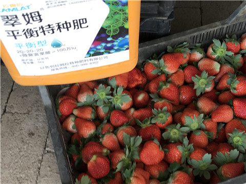 沖施肥，磷酸二氫鉀