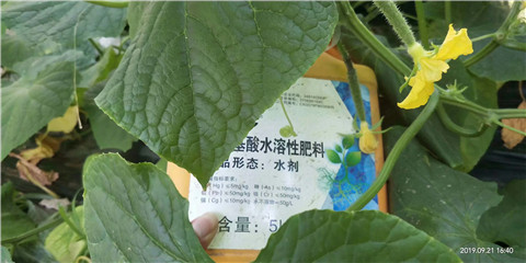 水溶肥，翠姆