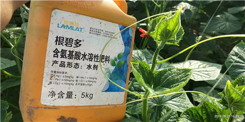 水溶肥，翠姆