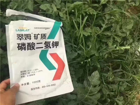 磷酸二氫鉀，硼肥，沖施肥
