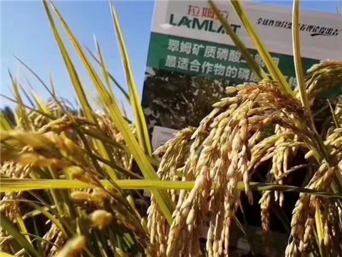 磷酸二氫鉀，翠姆