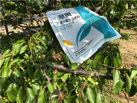大量元素水溶肥，磷酸二氫鉀，硼肥