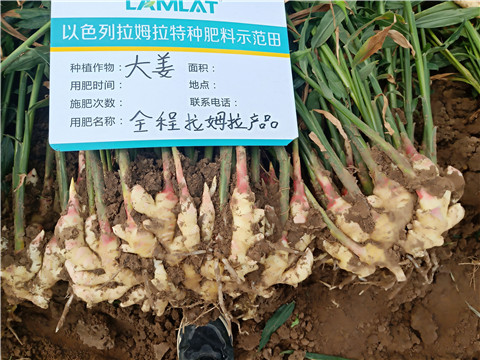 水溶肥，微生物菌劑，拉姆拉