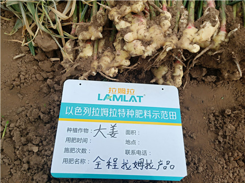 水溶肥，微生物菌劑，拉姆拉