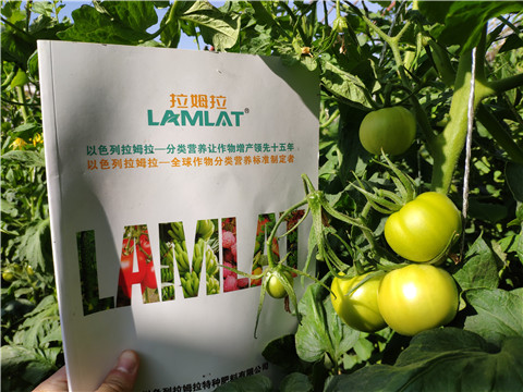 微生物菌劑，拉姆拉，伯示麥