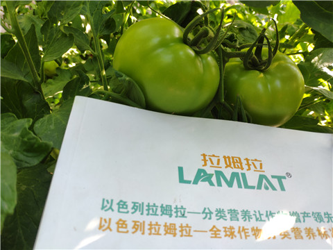 微生物菌劑，拉姆拉，伯示麥