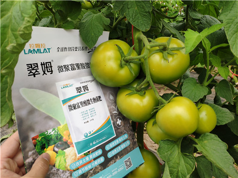 葉面肥，微生物菌劑，磷酸二氫鉀