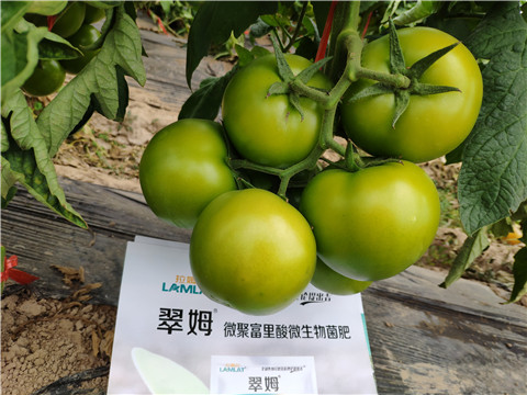 葉面肥，微生物菌劑，磷酸二氫鉀