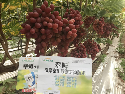 微生物菌劑，硼肥，鈣肥