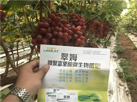 微生物菌劑，硼肥，鈣肥