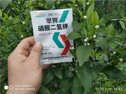 磷酸二氫鉀，硼肥，拉姆拉