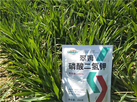 磷酸二氫鉀，葉面肥，拉姆拉