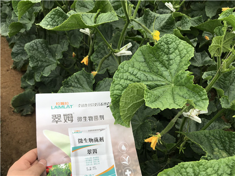微生物菌劑，水溶肥，拉姆拉