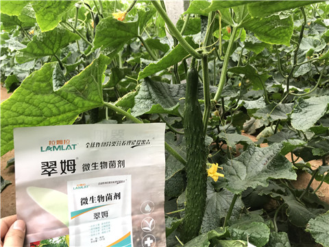 微生物菌劑，水溶肥，拉姆拉