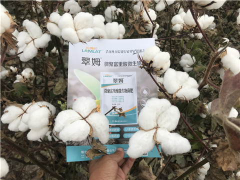 微生物菌劑，根碧多，拉姆拉