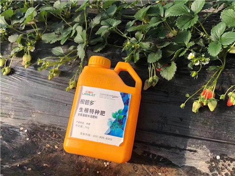 根碧多，微生物菌劑，拉姆拉