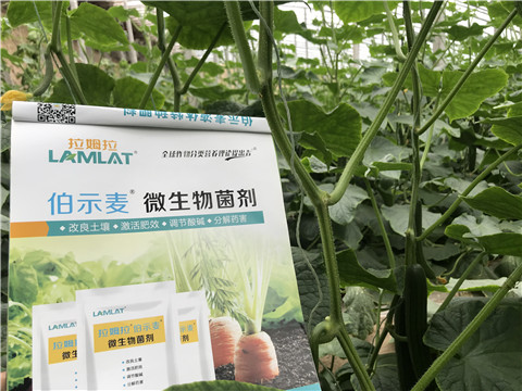 微生物菌劑，生根劑，拉姆拉