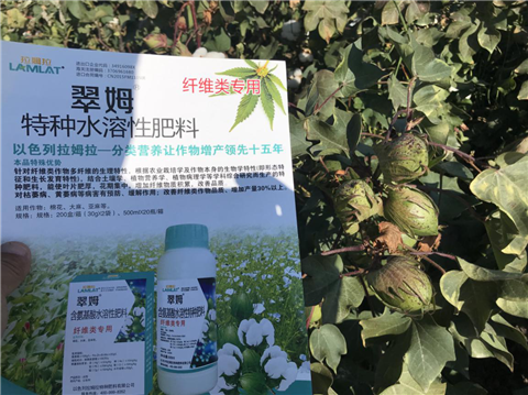 葉面肥，拉姆拉