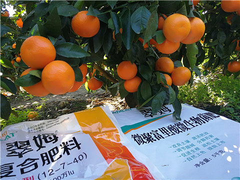 水溶肥，拉姆拉