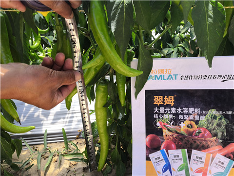 復(fù)合肥料，拉姆拉