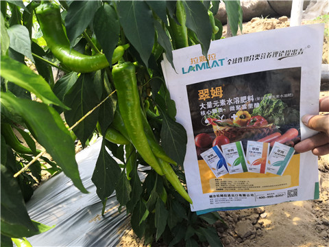 復(fù)合肥料，拉姆拉