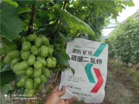 磷酸二氫鉀，拉姆拉