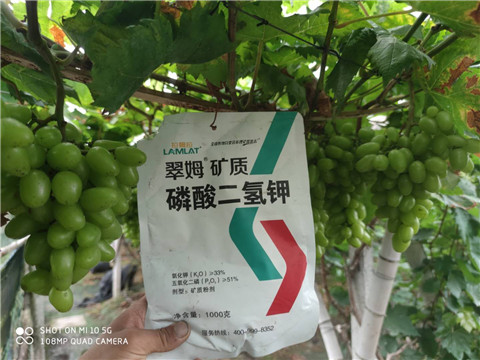 磷酸二氫鉀，拉姆拉