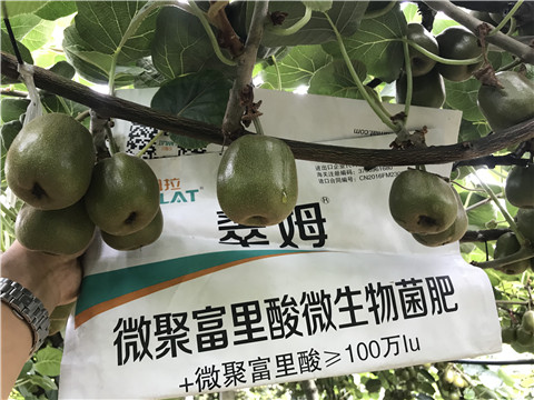 微生物菌劑，翠姆，拉姆拉