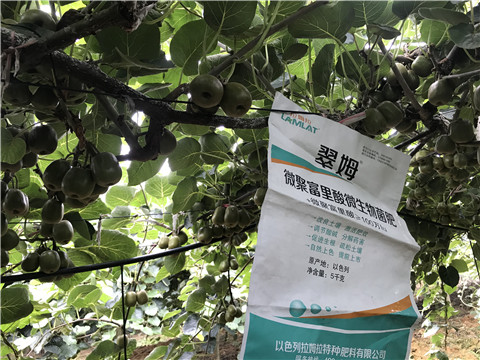 微生物菌劑，翠姆，拉姆拉