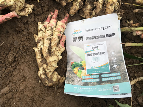 微生物菌劑，翠姆，拉姆拉